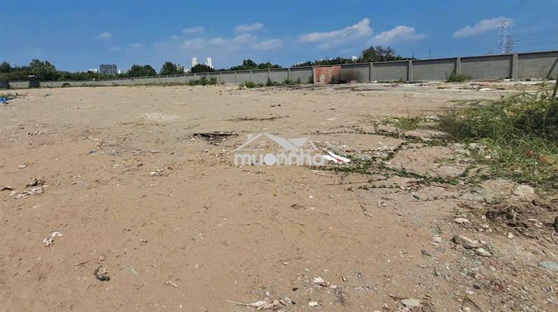 Cho thuê đất nguyễn hữu thọ,  5.500m² – giá chỉ 60 triệu/tháng