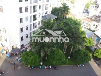 🏡 Cho thuê 312 lạc long quân – ban công thoáng, giá thuê 8tr/tháng - 2