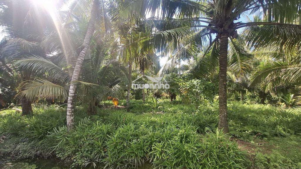 Bán 2900m² đất vườn giá rẻ gần đường tỉnh lộ 35 , gần cầu long hưng - 4