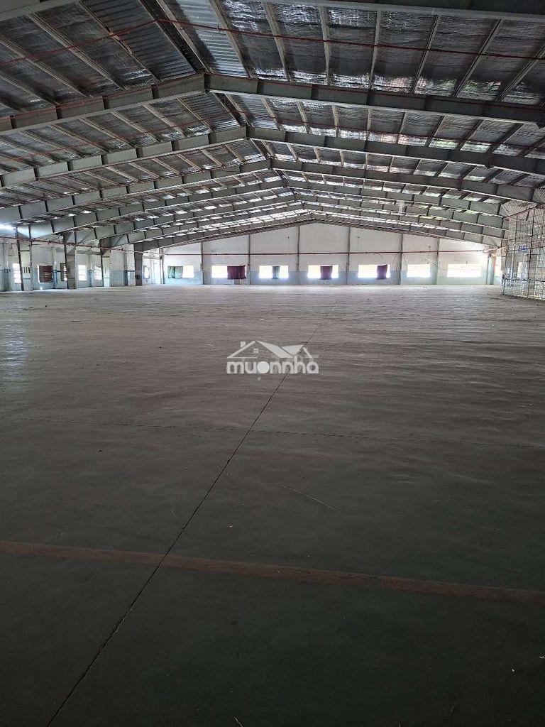 Cho thuê mặt bằng kinh doanh kho 2000m2 - 2