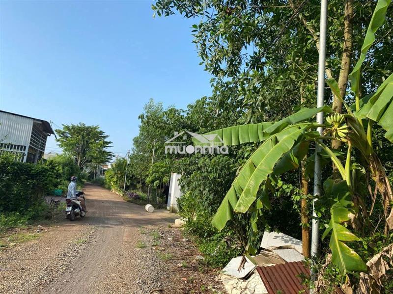 Bán đất
