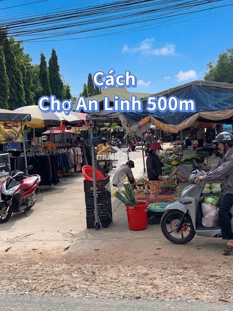 250m2 + 100m2 tc nhựa 7m 550tr ngay ubnd xã an linh - 4