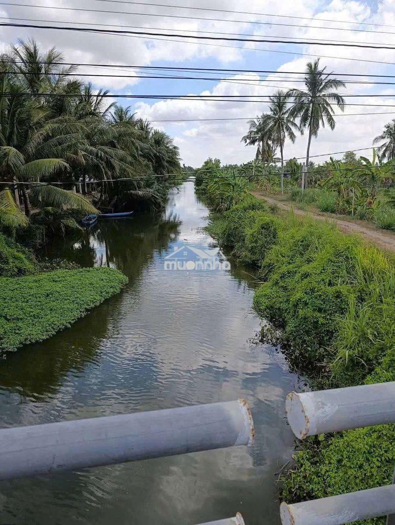 💥 Cần bán 2.657,5m² đất xã ba tri (bến tre)
▪️ ngang 16m - 2