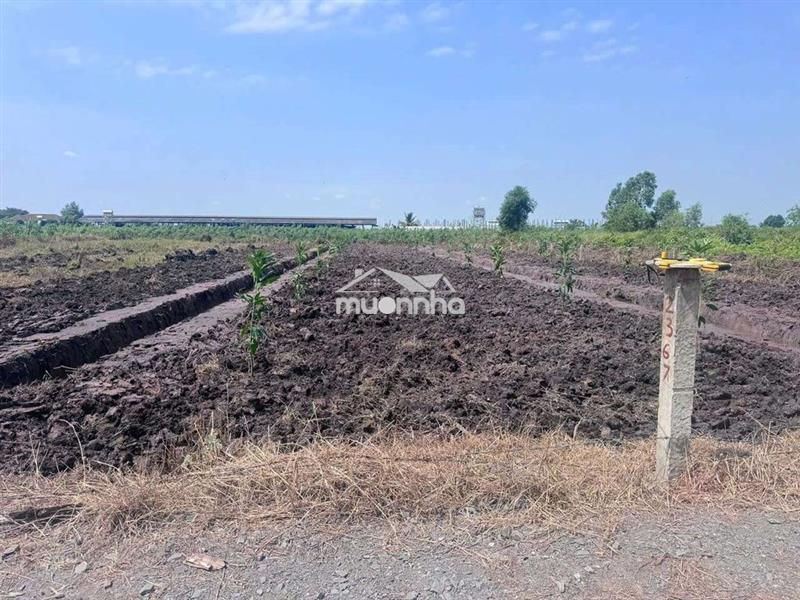 460t đất vườn 1000m²(11,5×87)m, xe hơi đỗ truóc đất,cao ráo,sổ sẵn,tlg