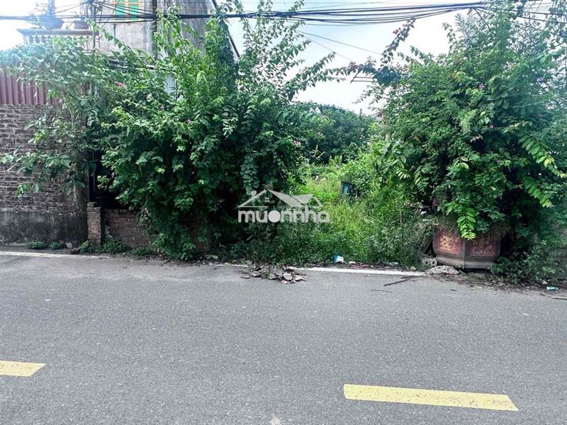 Đất đẹp vĩnh tuy văn giang sẵn sổ