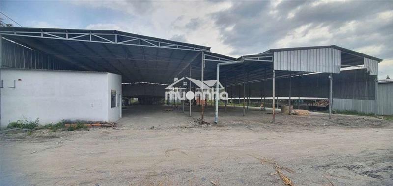 Chính chủ cho thuê kho xưởng trảng bàng giá rẻ