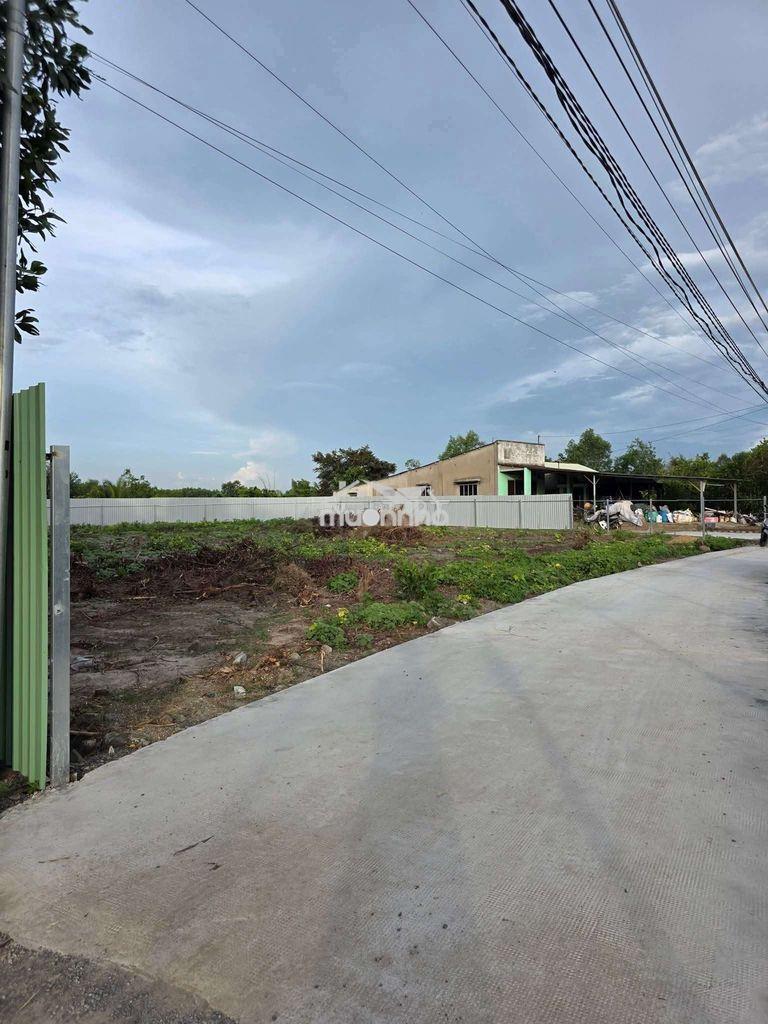 Bán gấp 224m2 đất full thổ cư tại phường tân triều thông lavender city - 3