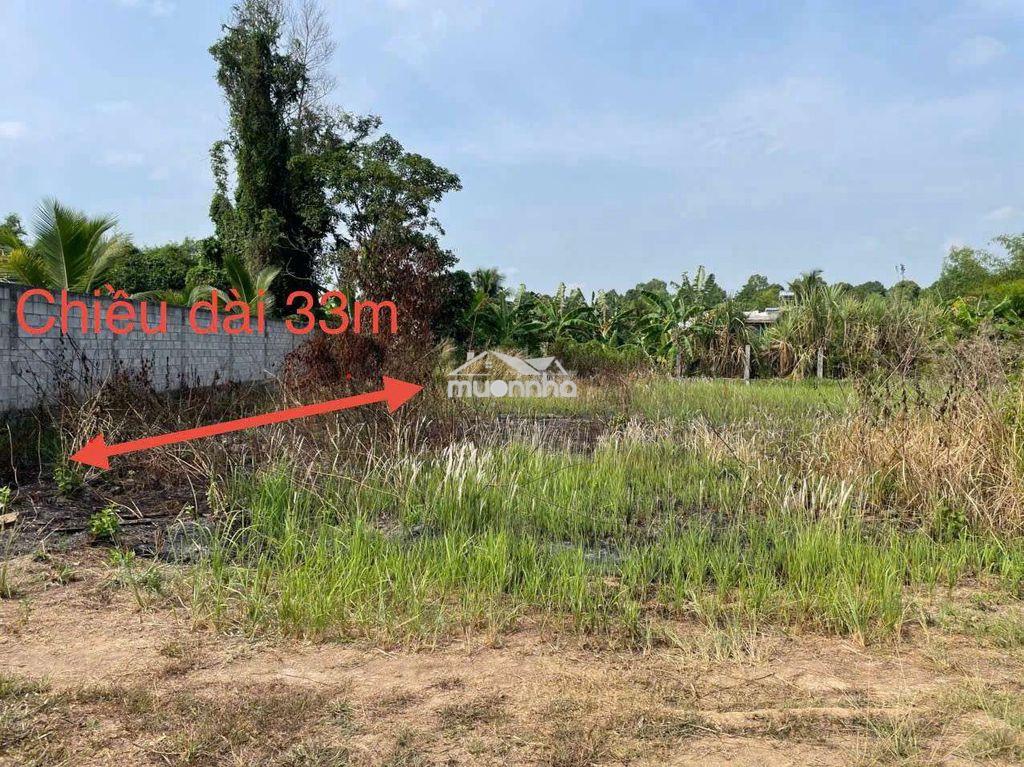 Cần bán lô đất 16m, có suối chảy quanh năm, kp 2, p xuân lộc , cực đep - 2