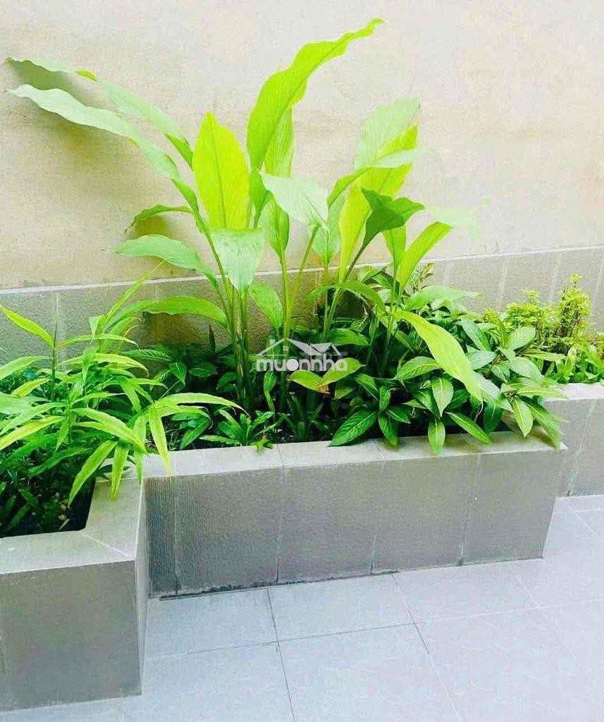 Phòng mới ngay vòng xoay chợ thủ đức-mặt tiền 980 kha vạn cân - 2