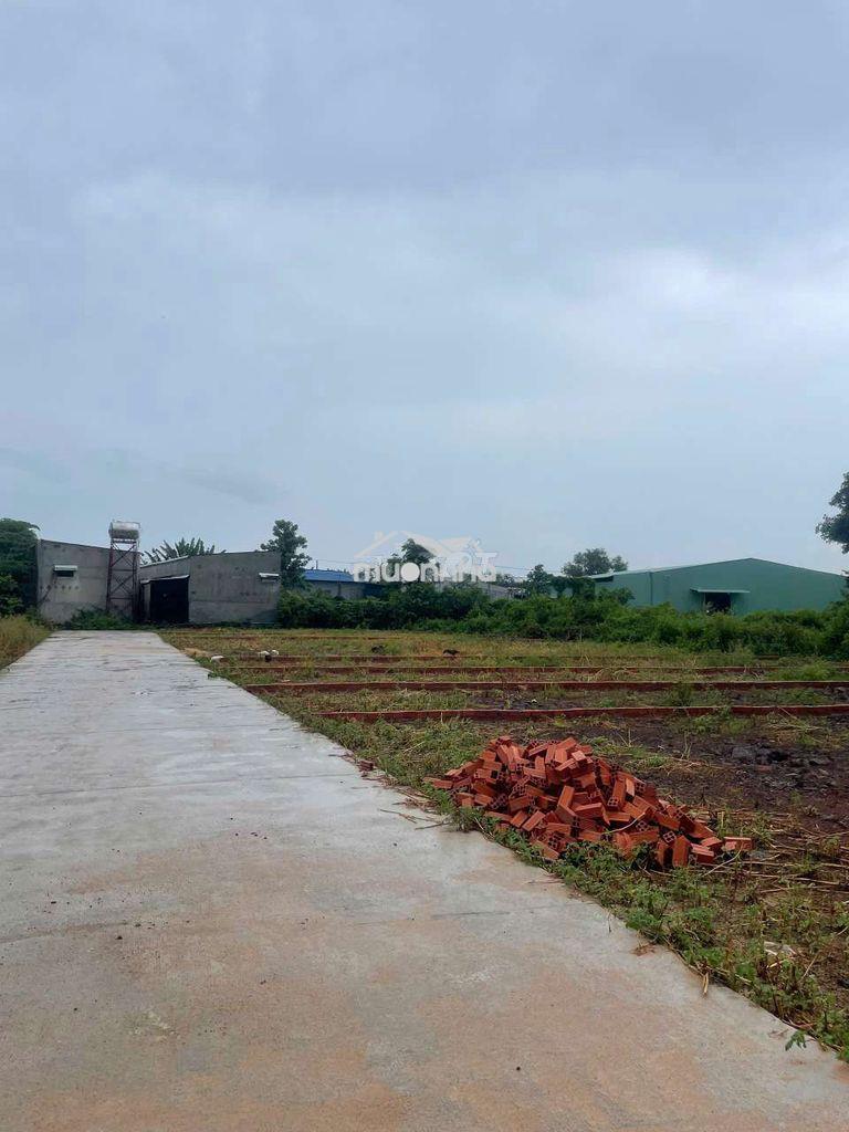 Đất trung tâm long khánh vị trí đẹp giá tốt - 3