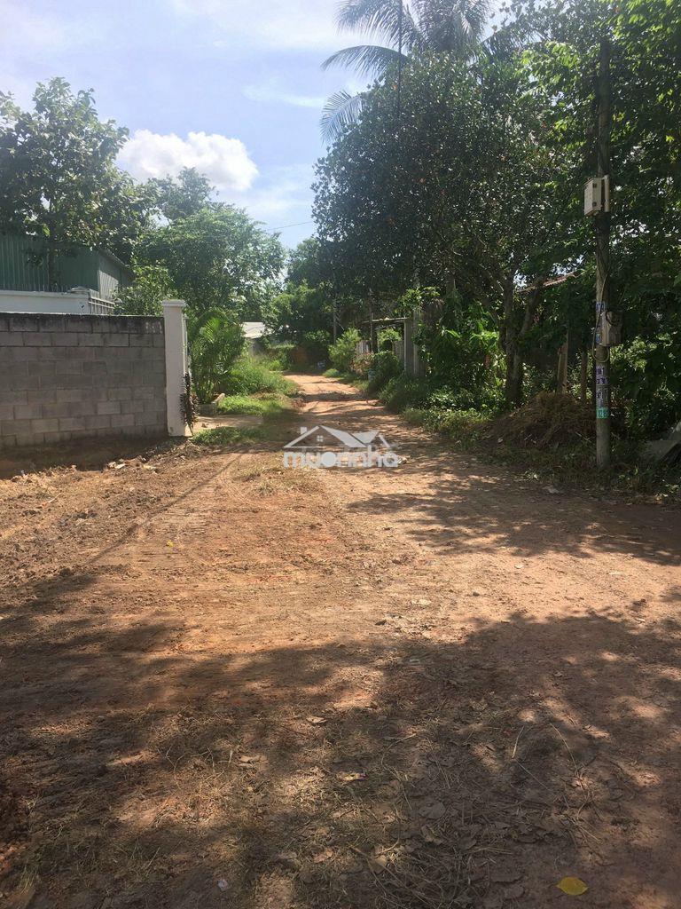 Bán đất 12x35=403,3m2 sổ riêng, xã phước thạnh, tỉnh lộ 7 - 4