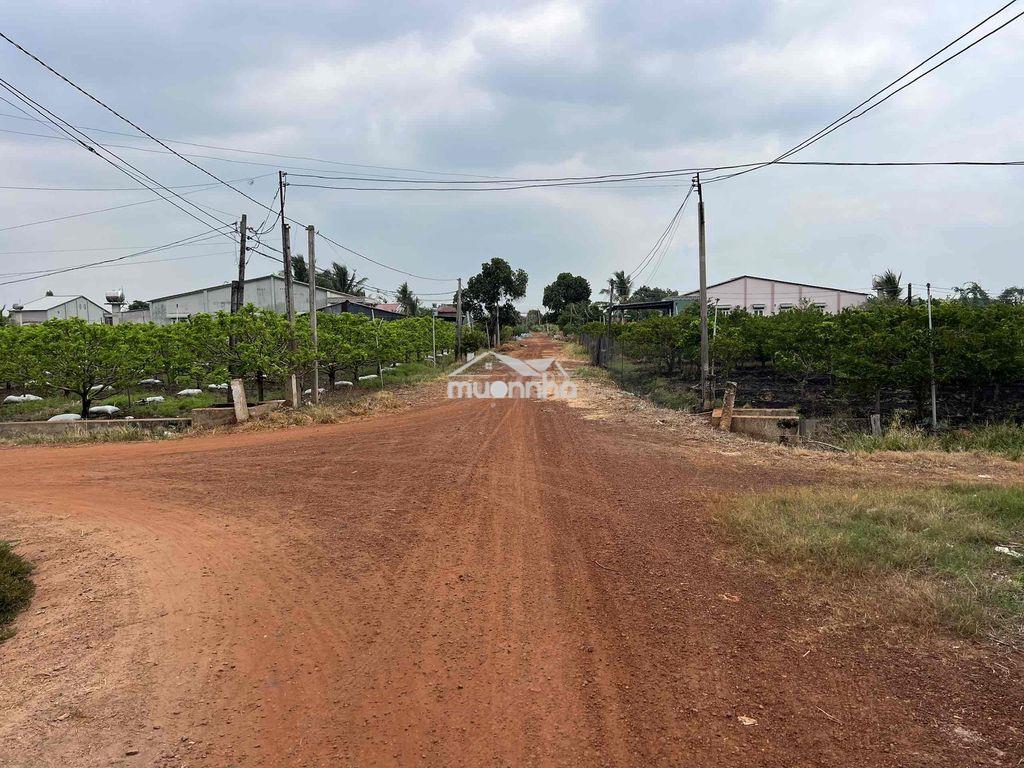 314m mặt tiền tại tân hưng - tân châu - tây ninh - 3