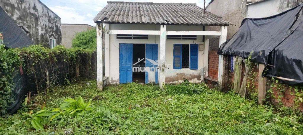 Bán nhà nát tiện xây mới, 172m2 ngay trường mầm non đồng tranh - 3