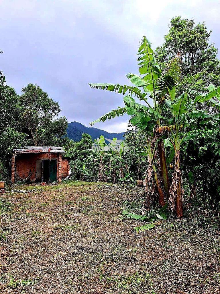 Đất mặt tiền đường nhựa, ô tô vào tận nơi, view đẹp, sổ hồng chính chủ - 3