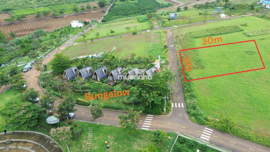 Đất nghỉ dưỡng bảo lộc, sổ sẵn, công chứng - 4