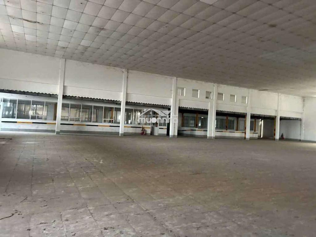 Xưởng củ chi 5500m giá 1.5 usd/m - 4