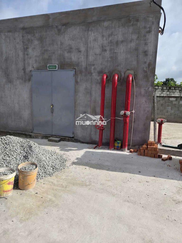 Cho thuê nhà xưởng mới 100%, pccc tự động thẩm duyệt - 3