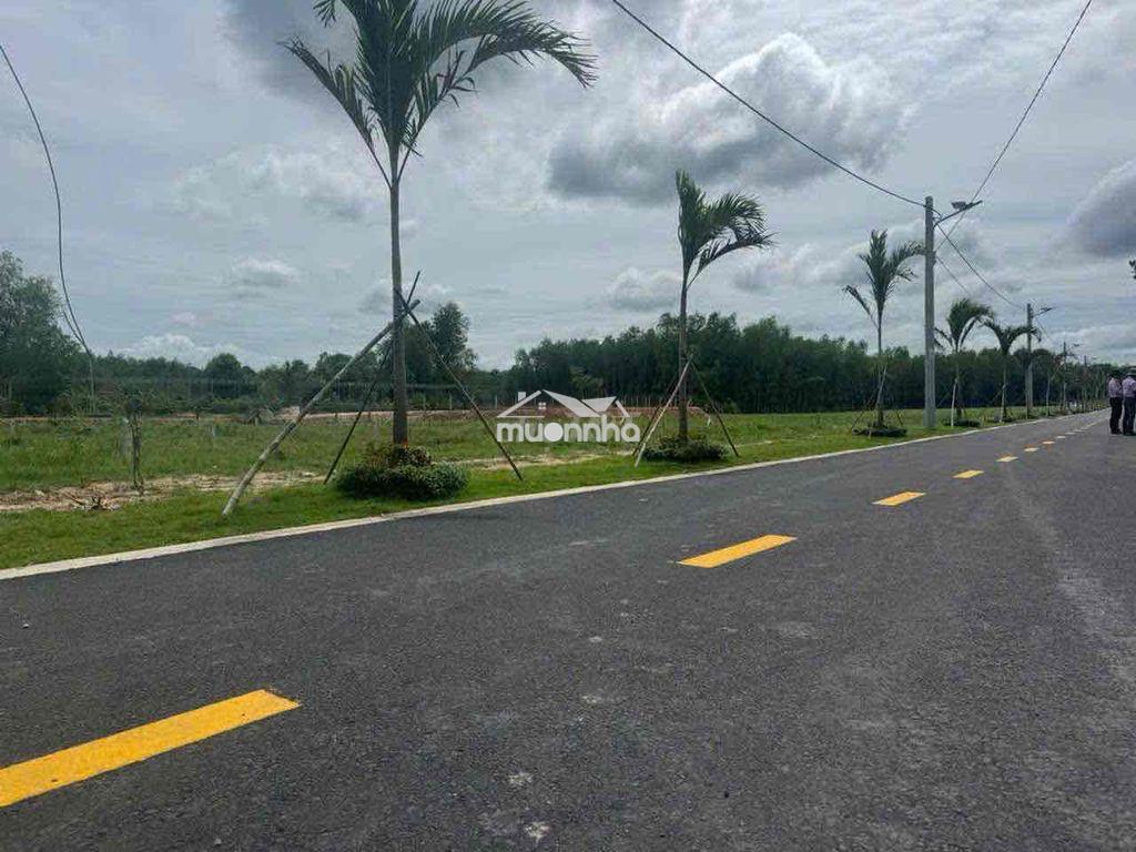 🏡 Đất nền bình dương - lô đẹp - giá hấp dẫn - cơ hội đầu tư - 2
