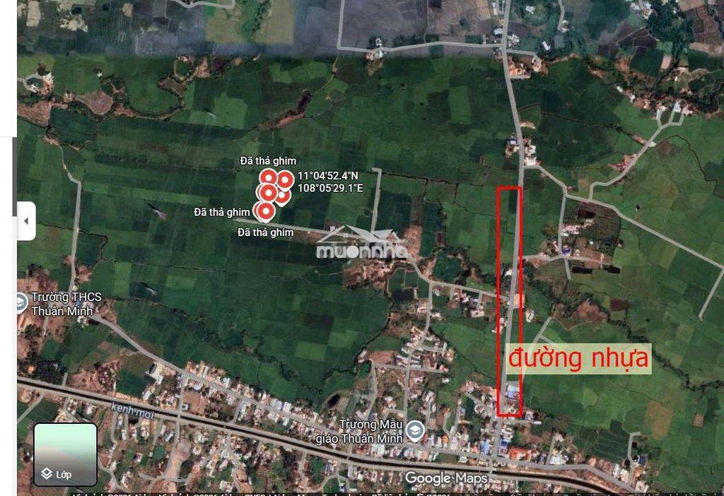 Chính chủ - đất nông nghiệp sổ riêng 2324m2 cần bán thu hồi vốn - 3