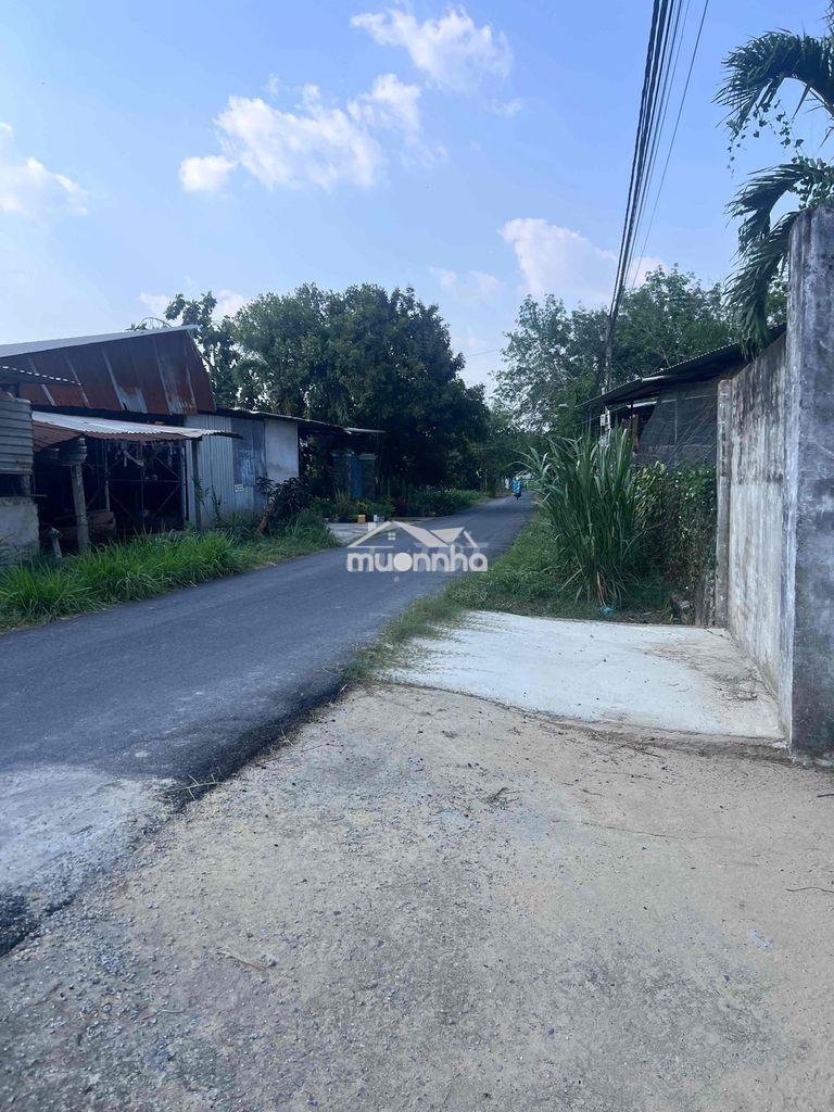 Cho thuê nhà nguyên căn đường 762, an nhơn tây, củ chi - 3
