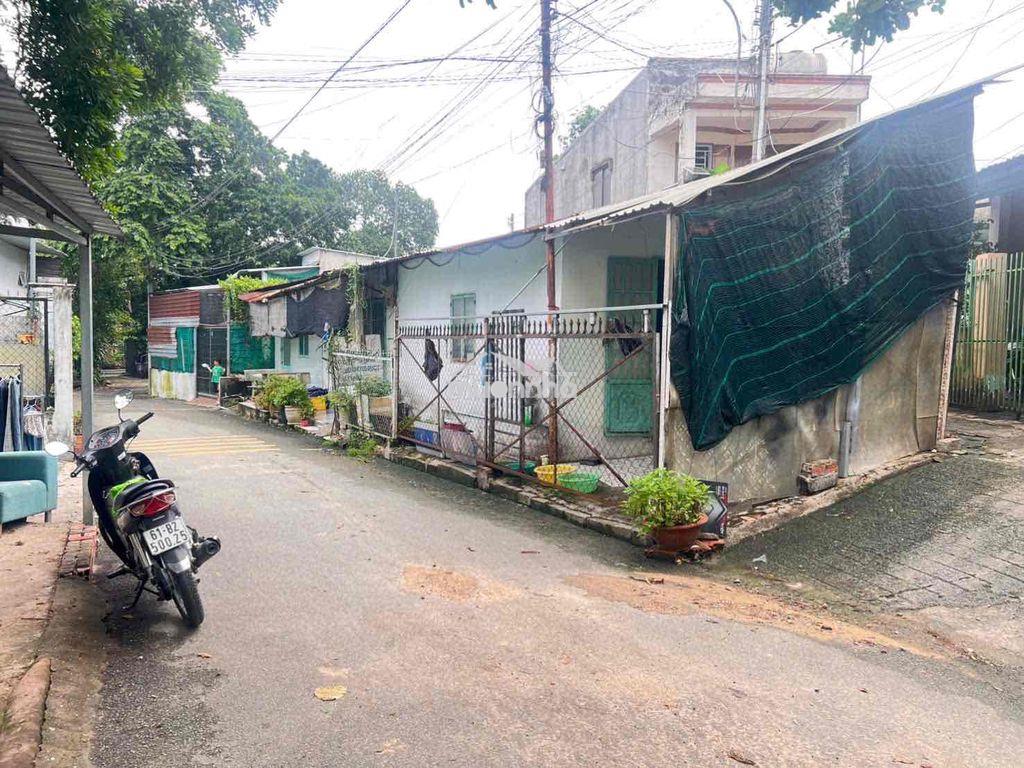 Bán đất tặng căn nhà cấp 4 và 2 kiot chánh mỹ-tdm gần ql13 giá êm - 4
