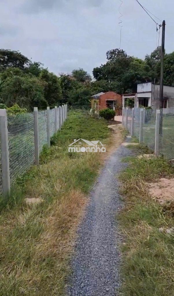 Bán 950m2 đất mặt tiền đường an nhơn tây 2 tỷ3, thổ cư,có thương lượng - 3