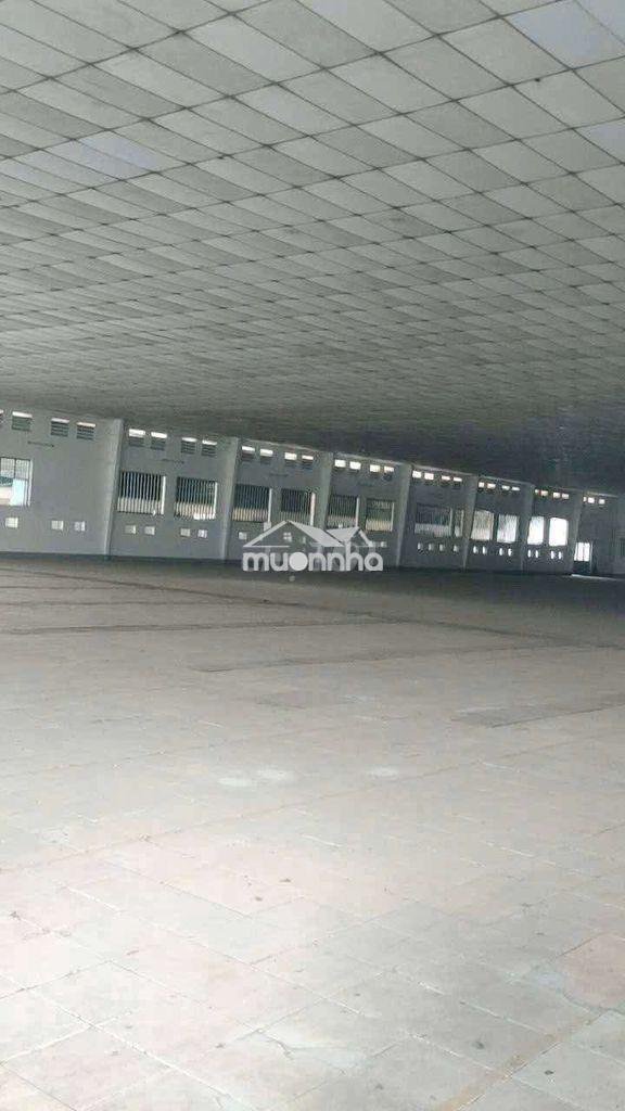 Xưởng củ chi 5500m giá 1.5 usd/m