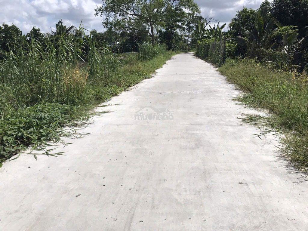 Bán đất chính chủ – sổ đỏ trao tay, gần chợ/trường học/tiện ích. - 3