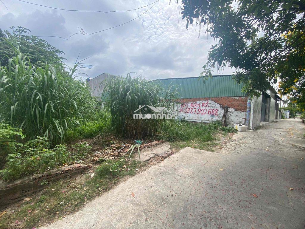 Ngân hàng thanh lý đất đẹp quận 12 - 4