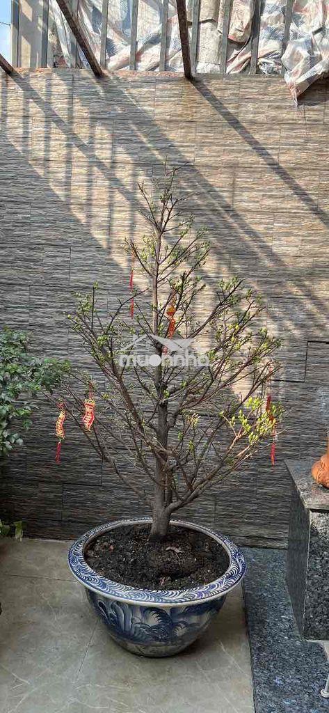 Cho thuê mặt bằng kinh doanh , văn phòng , sản xuất , lưu trữ - 3
