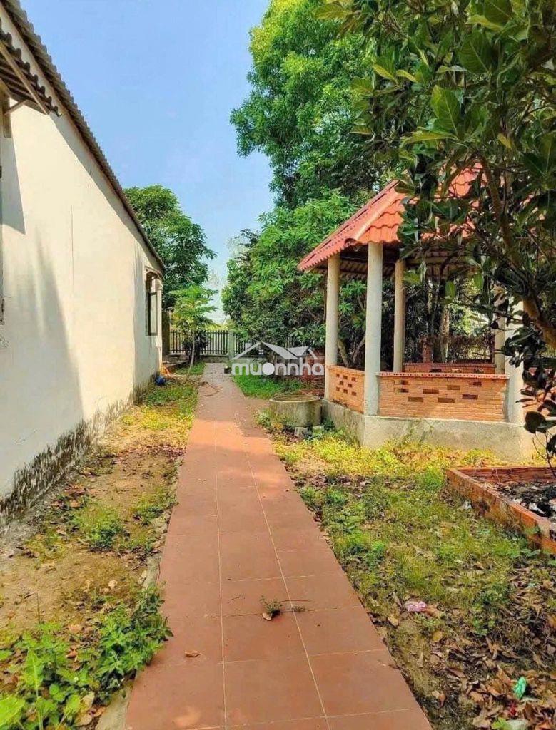 Bán căn nhà vườn nhỏ hơn 500m2 , giá 680triệu ,sổ sẵn. - 3