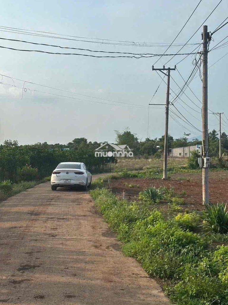 Kèo thơm-1 sào bê tông ấp 4 xt - giá rẻ - 2