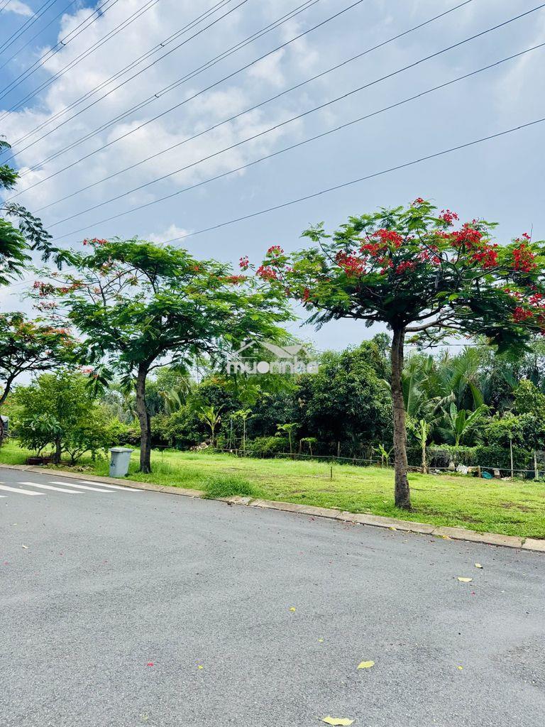 Nhà melosa khang điền 5x23m - 3 tầng - nguyễn duy trinh q9 - full nt - 3