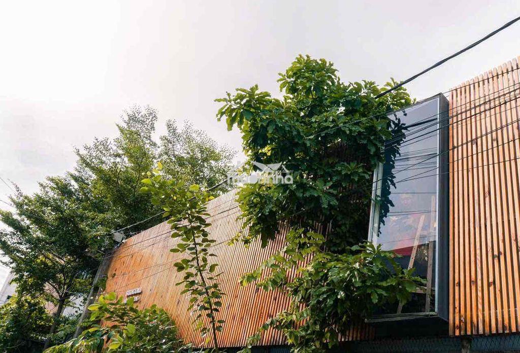 Cho thuê căn studio chỉ 4,5 triệu - 3
