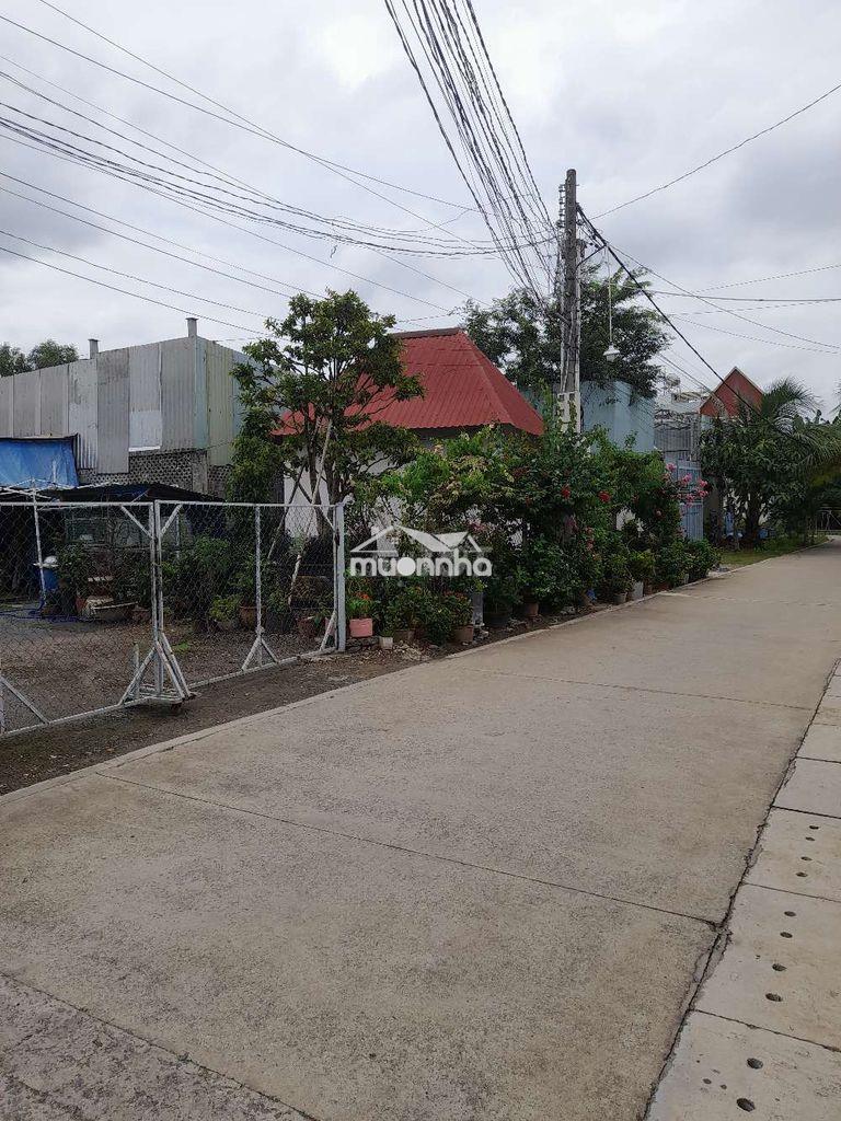 Nhà đất ngộp bank - 3