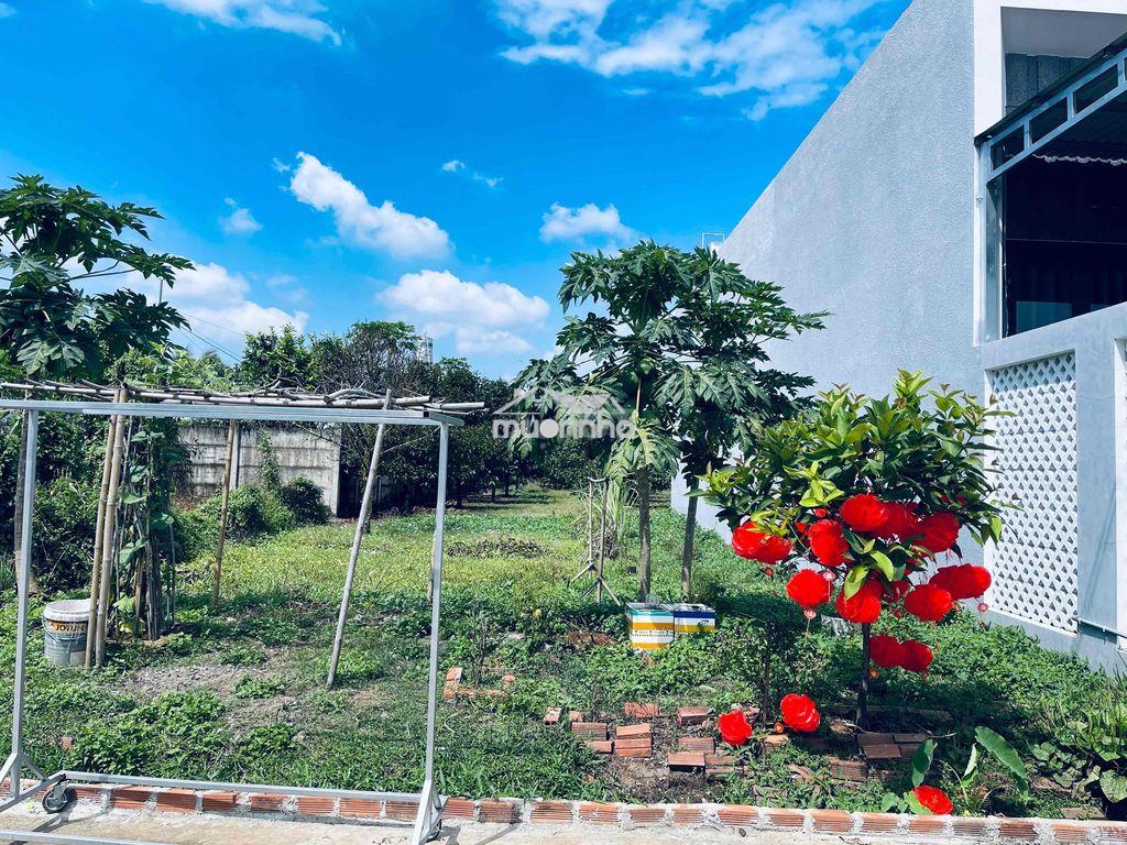 🌿 Sở hữu ngay vườn sinh thái giữa lòng bình lộc – giá mềm hiếm có - 3