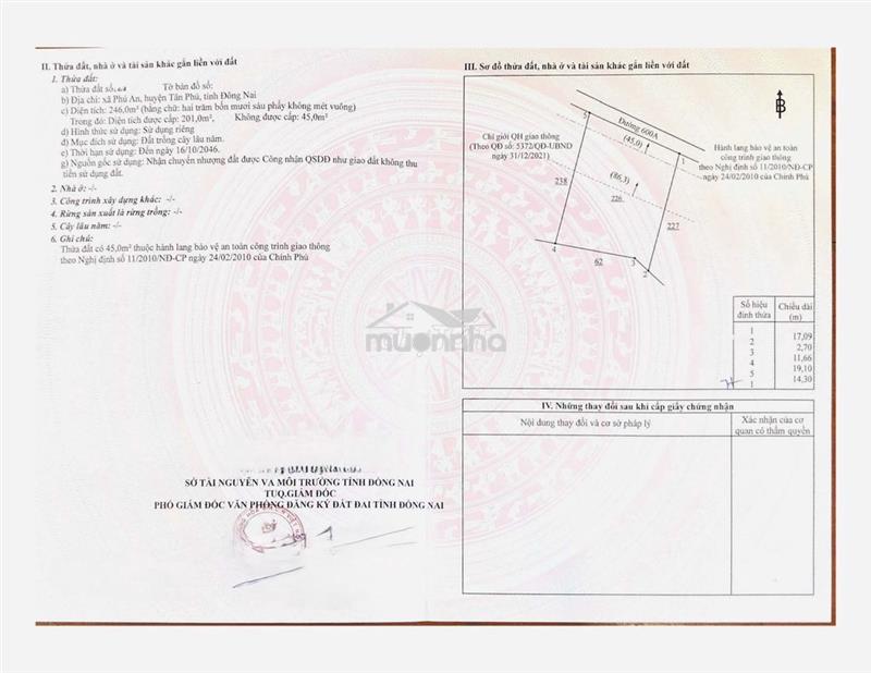 Mat tien 600a phú an tân phú đồng nai giá rẻ
