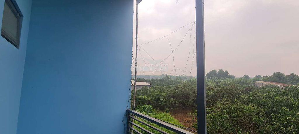 Nhà gác lửng thiết kế gần gũi với thiên nhiên - 3