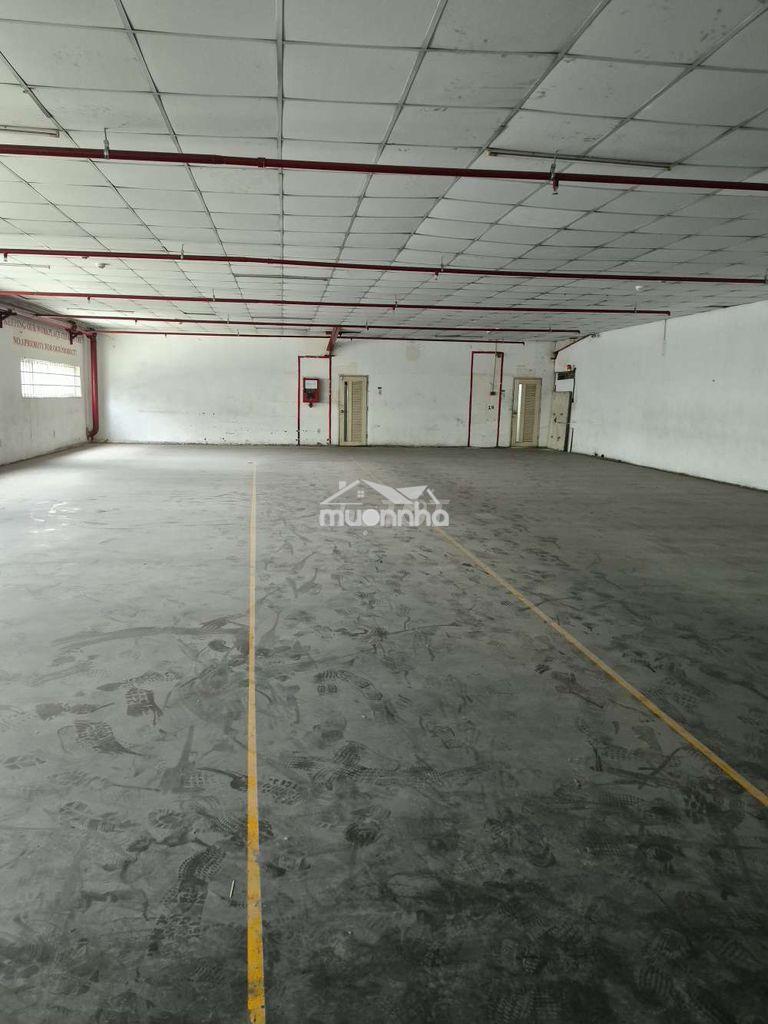 Chính chủ cho thuê nhà xưởng 4800m2 giá thuê 410 triệu/ tháng - 4
