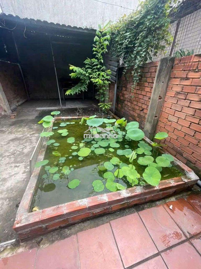 Cho thuê nhà mặt tiền cây da - 3