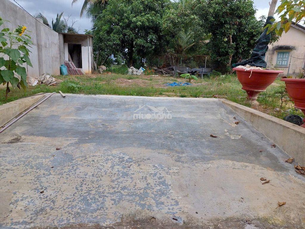 Bán đất diên toàn mặt tiền đường nhựa giá chỉ 12.5tr/m2 - 2