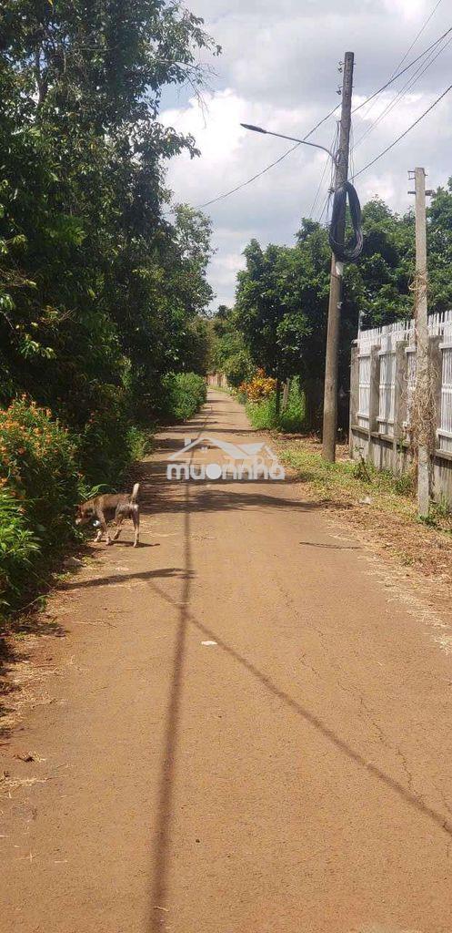 Bán đất vườn biệt thự