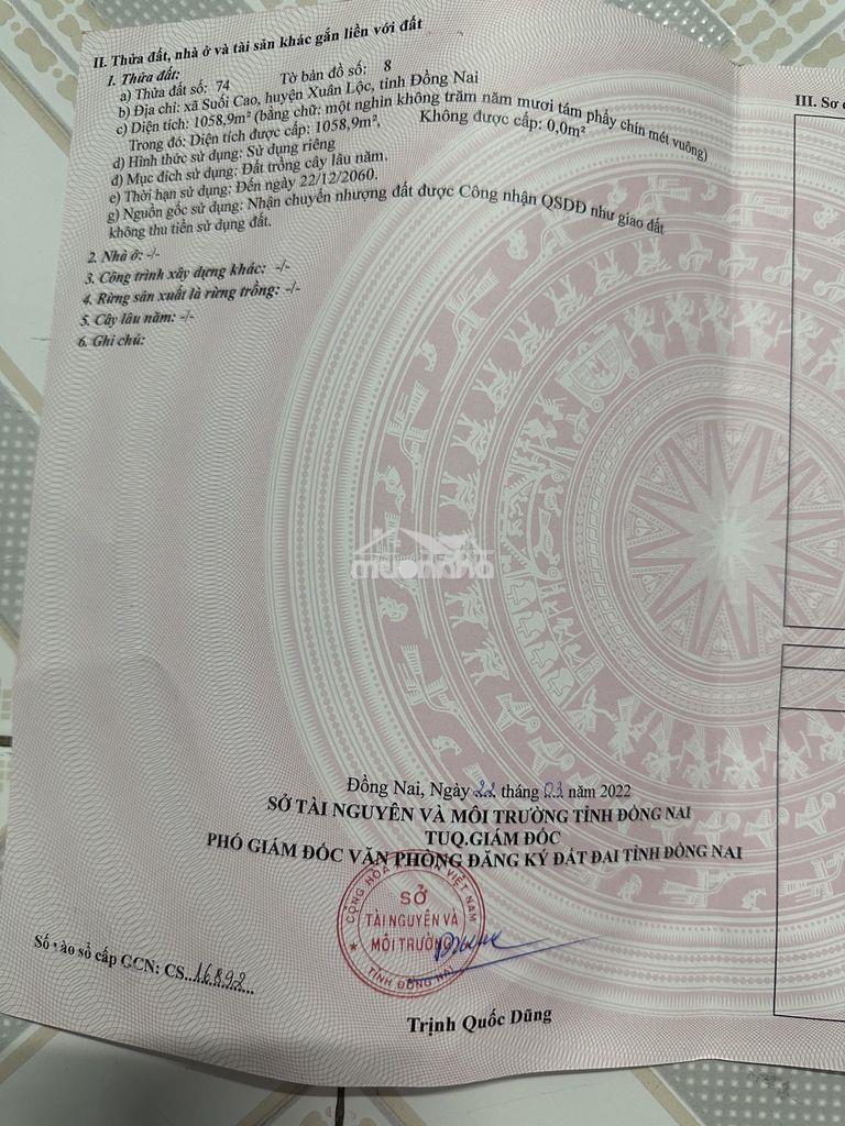 Cần bán lô đất 2 mặt tiền đường xã xuân thành xuân lộc sẵn sổ 400tr - 4