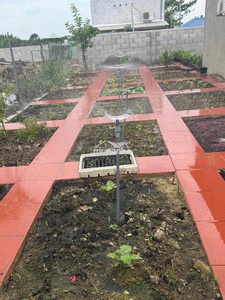 🌿 Nhà vườn long khánh – sống xanh, nghỉ dưỡng mỗi ngày 🌿 🏡 - 4