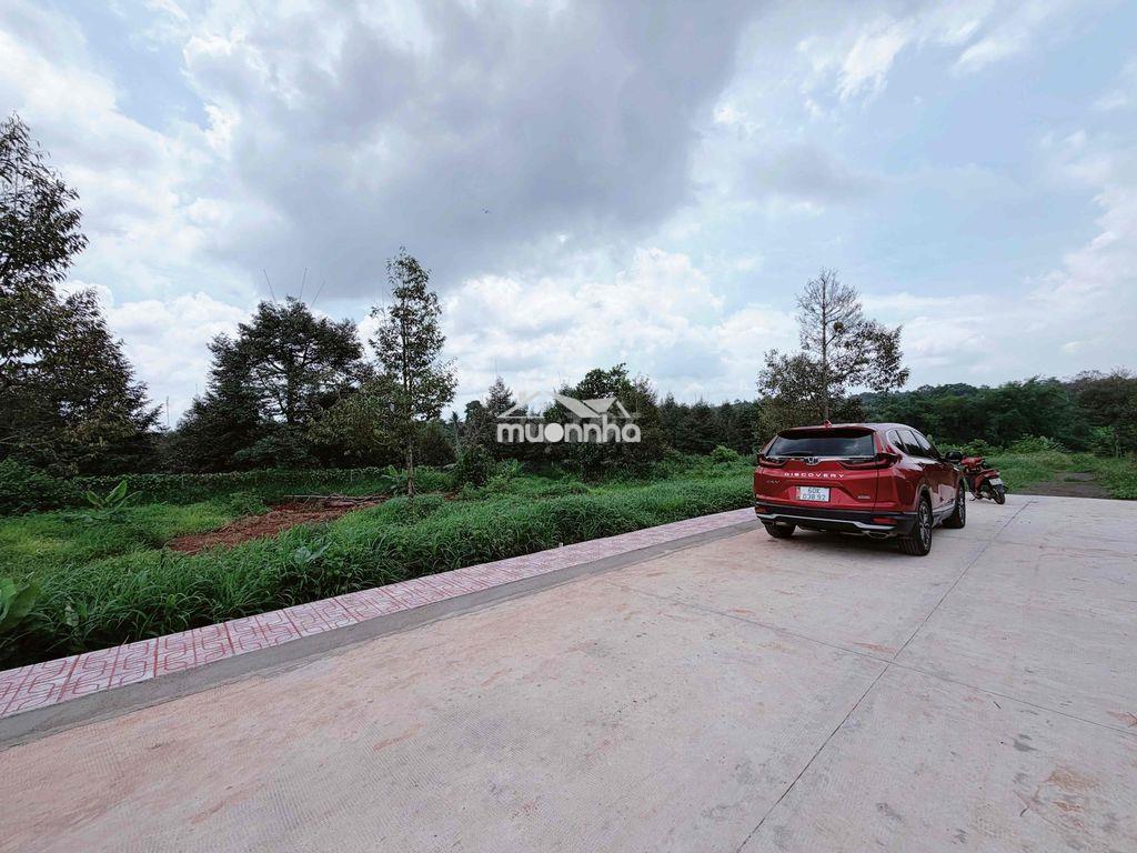Cần bán 10x18 phun thổ cư - 3