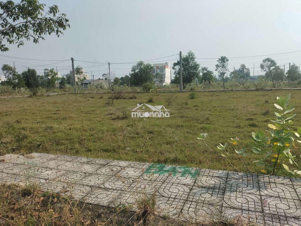7 m mặt nhựa đất thổ khu dân cư  - 2