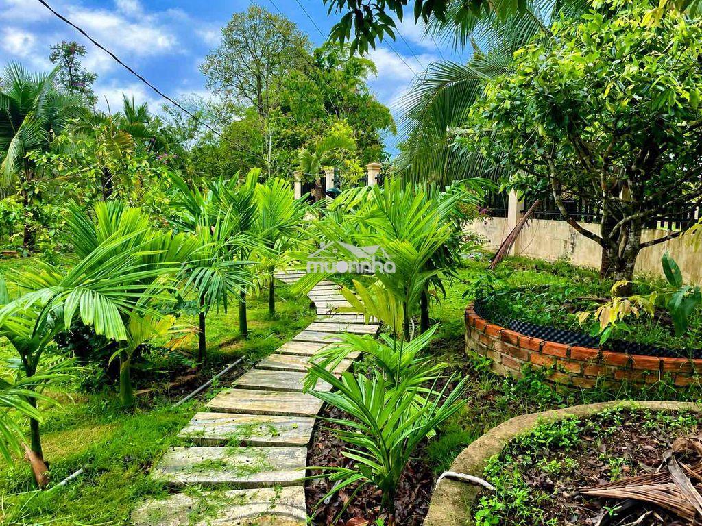 Đất vườn view nghỉ dưỡng - 3