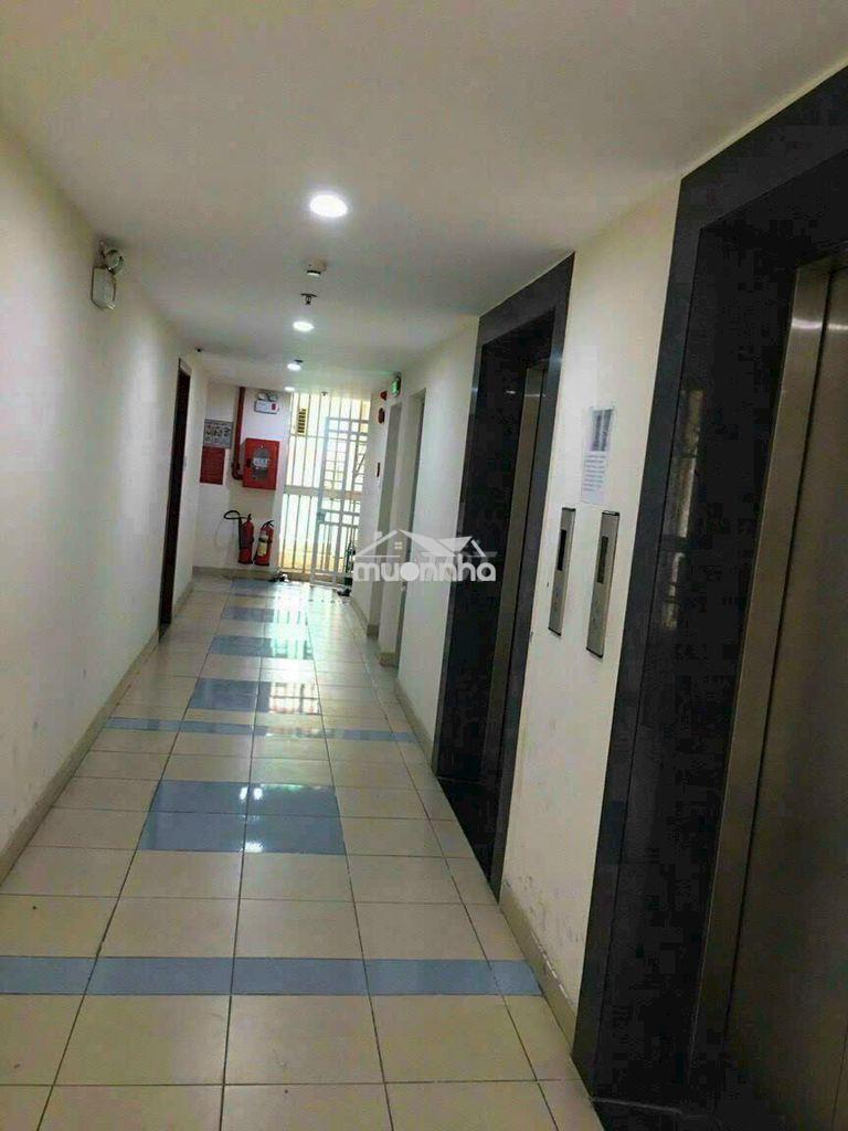 Hót căn hộ cc đông hải 54m2 2pn / 2wc shr  - 2