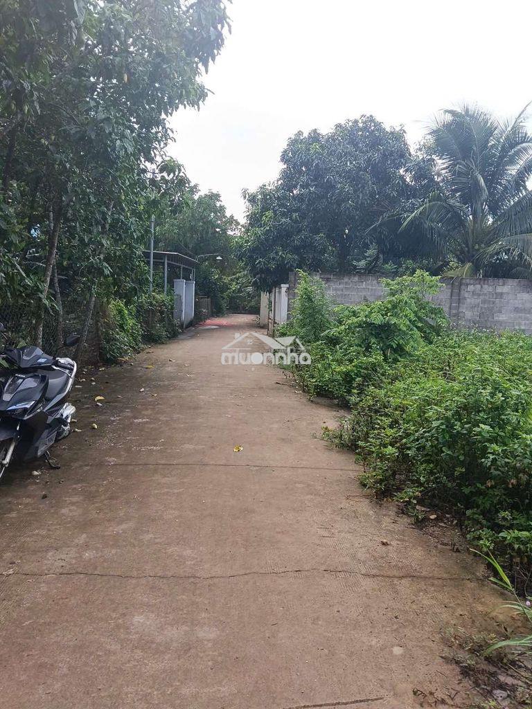 Hơn 400m2 full thổ cư bảo vinh - long khánh cách chợ chỉ 100 mét - 3