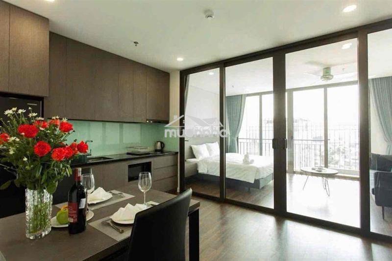 Cho thuê căn hộ 1 phòng ngủ bancol ở lý chính thắng quận 3 mới giá rẻ